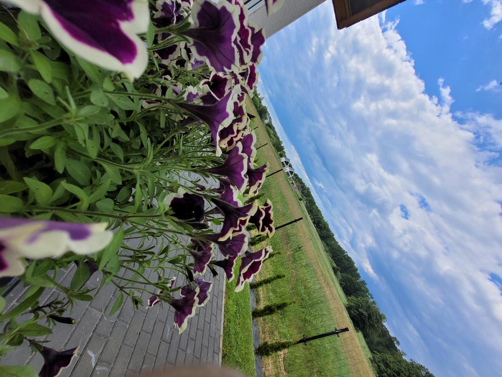 Czarna Perla Lägenhet Chłopy Exteriör bild